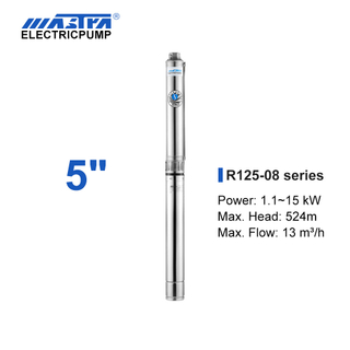 Mastra 5 inch Submersible Pump - R125 series 8 m³/h rated flow 