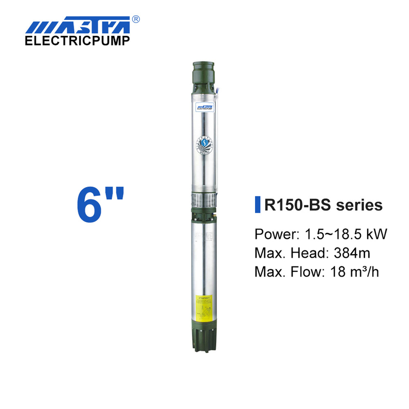Mastra 6 инчийн гүний насос - R150-BS цуврал усны шахуургын сав баглаа боодол