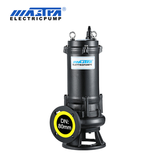 MASTRA RWQK цуврал цутгамал төмрийн бохирын насос.