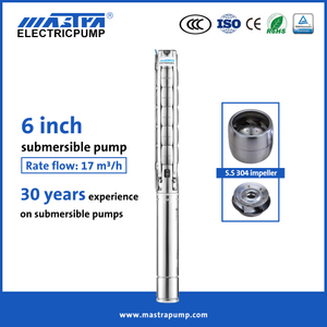 Mastra 6 inch stainless steel submersible well pump 6SP Submersible water pump